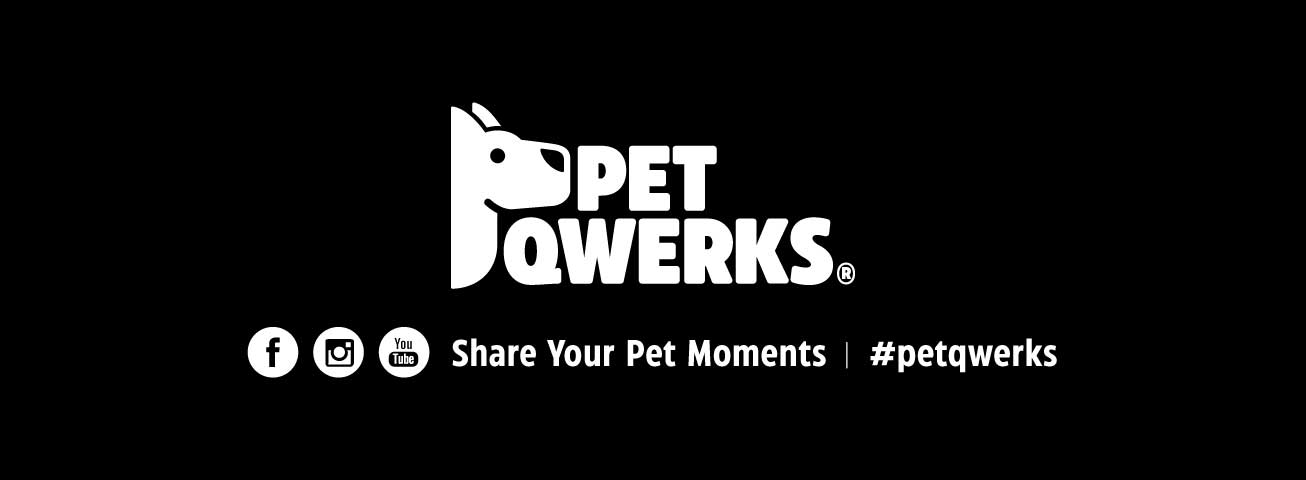 Pet Qwerks Dog Toys