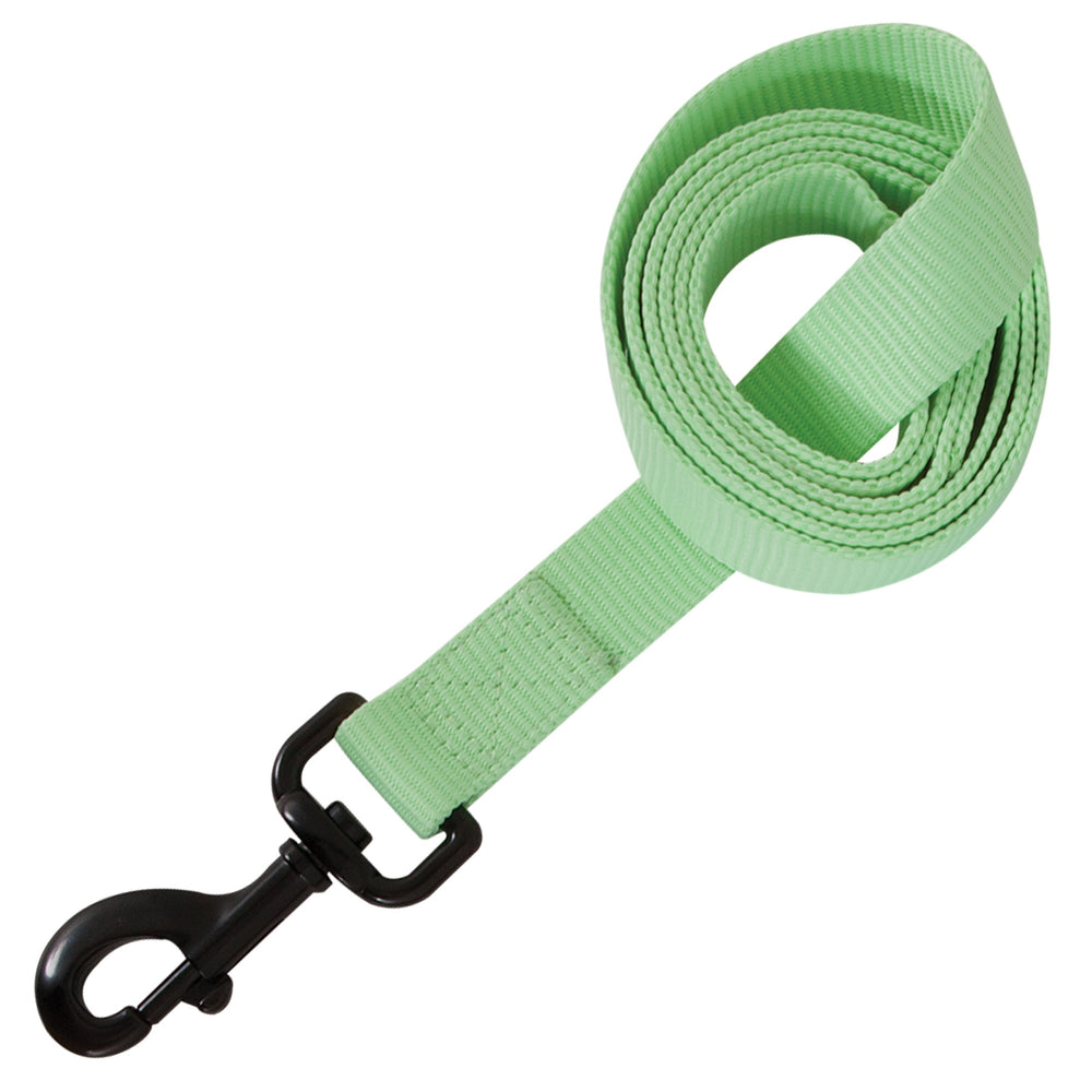 The Aspen Pet Glow In The Dark Leash features durable webbing for visibility and includes a black metal clip, presented in a light green rolled-up design.