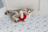A fluffy kitten with gray, white, and tan fur lounges on a geometric-patterned floor, playfully batting at the Mad Cat Pouncin Prawn Catnip & Silvervine Cat Toy.