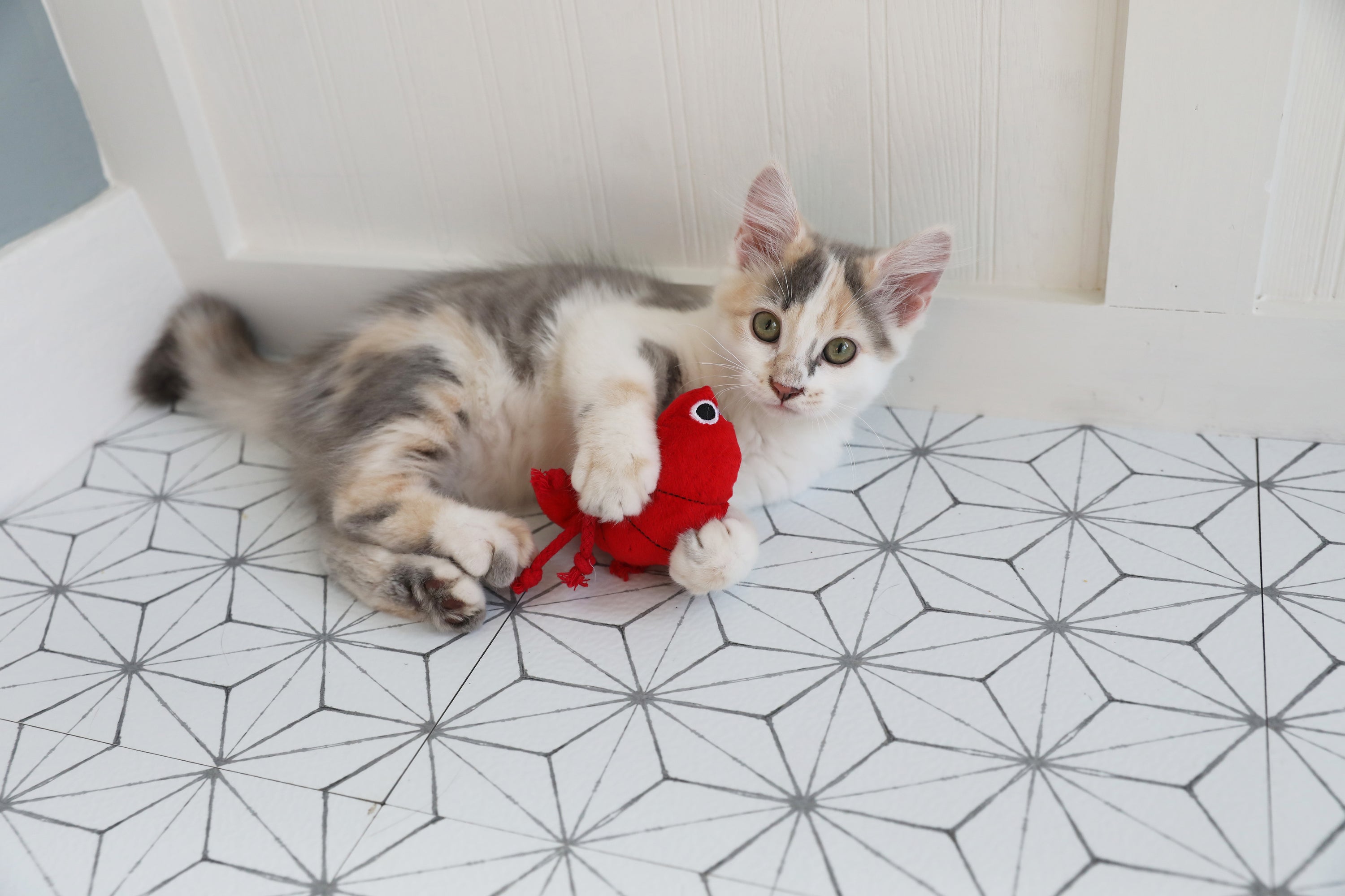 A fluffy kitten with gray, white, and tan fur lounges on a geometric-patterned floor, playfully batting at the Mad Cat Pouncin Prawn Catnip & Silvervine Cat Toy.