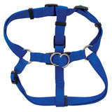 The Petmate Adjustable Standard Step-In Core Harness, in blue with black plastic buckles and metal rings, lies flat on a white background. Made of webbed fabric for comfort, it fits snugly on a dog with an easy step-in design and offers multiple leash connection points.
