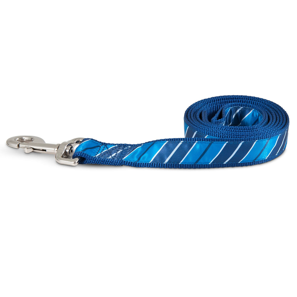 Aspen Pet Stripe Blue Fashion Dog Leash. SKUS: 11469