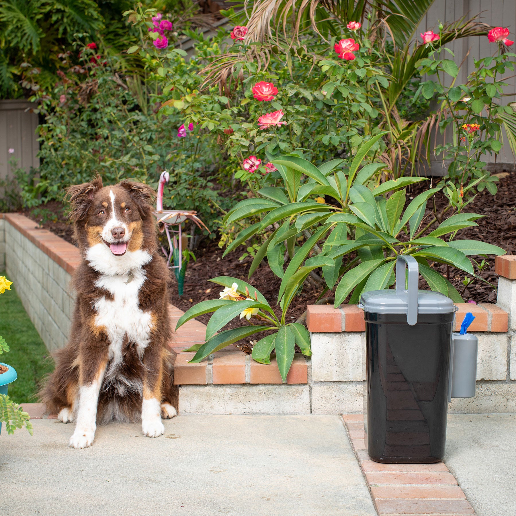 Cat litter disposal in garden sale