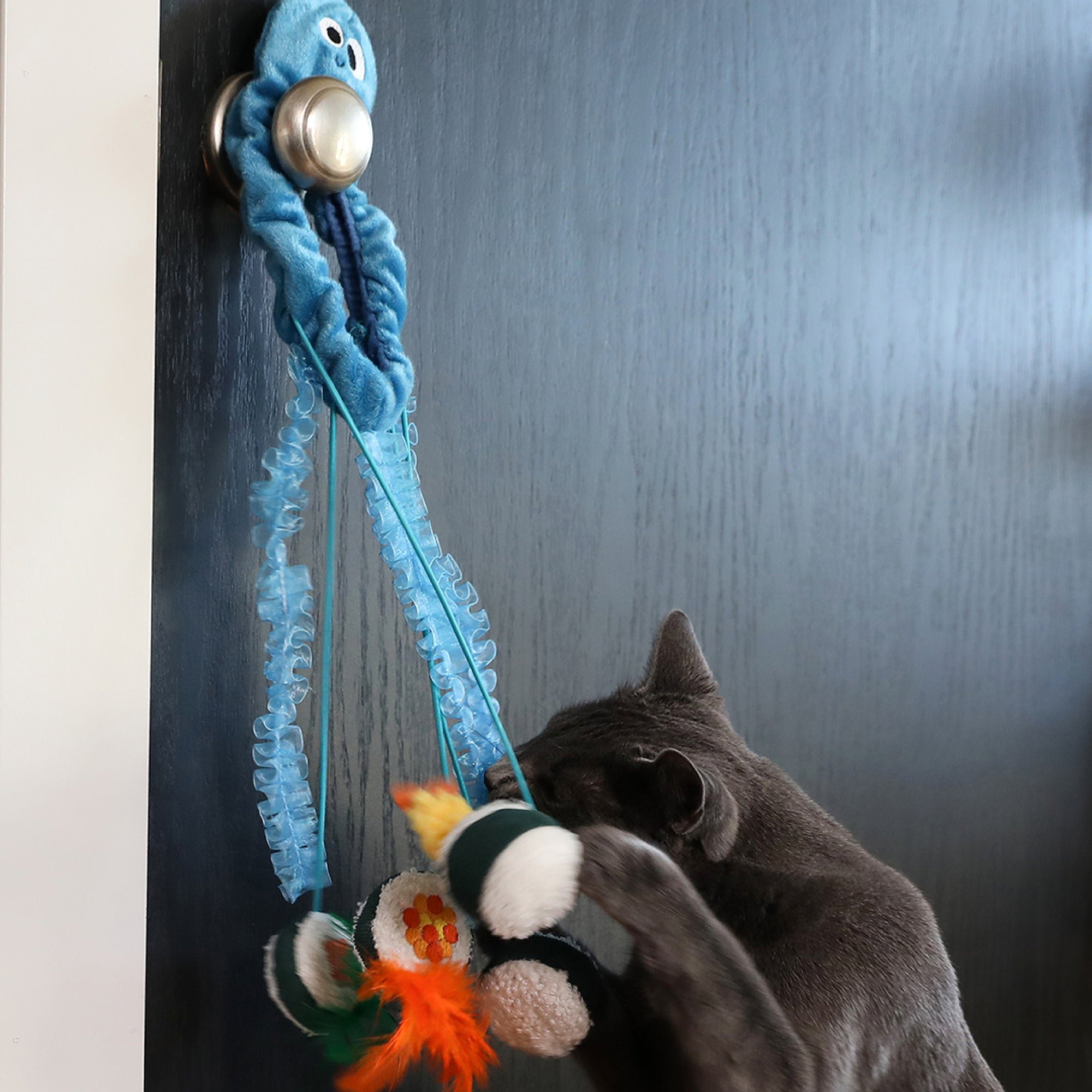 A gray cat engages with the Mad Cat Sushi Time Doorknob Toy, featuring a blue octopus attached to a handle. Its tentacles and colorful balls with feathers entice play, while bursts of silvervine heighten excitement.