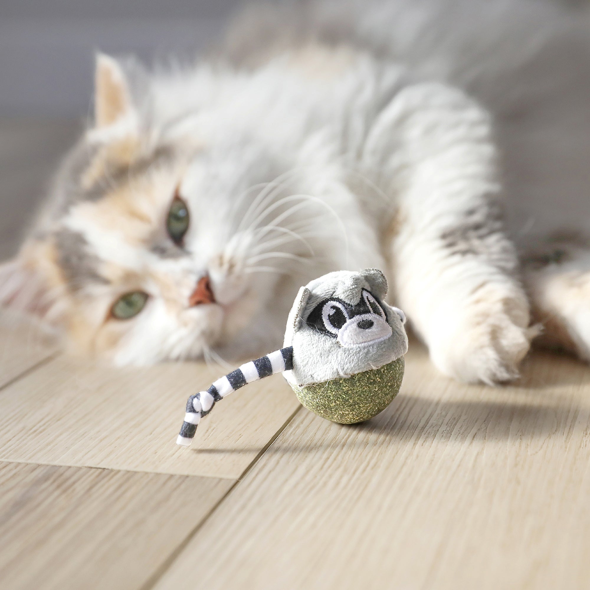 Quirky Kitty Rolly Raccoon Catnip Bobbler Cat Toy – Petmate