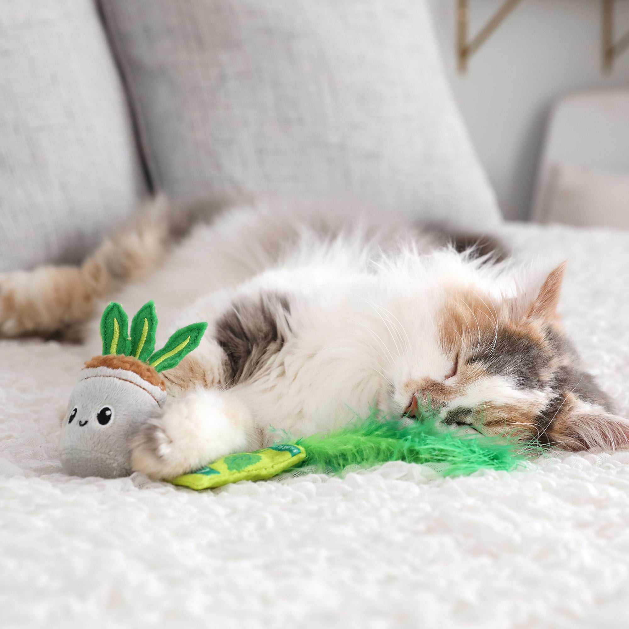 can cat nip planted in house Quirky Kitty House Plant Catnip Plush Cat Toy