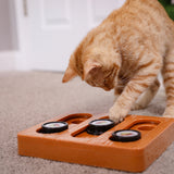 A ginger cat engages with its cognitive abilities with a Quirky Kitty Sushi Bento Box Puzzle Cat Toy on the carpeted floor, placing its paw on the circular sliding sections and appearing deeply focused.