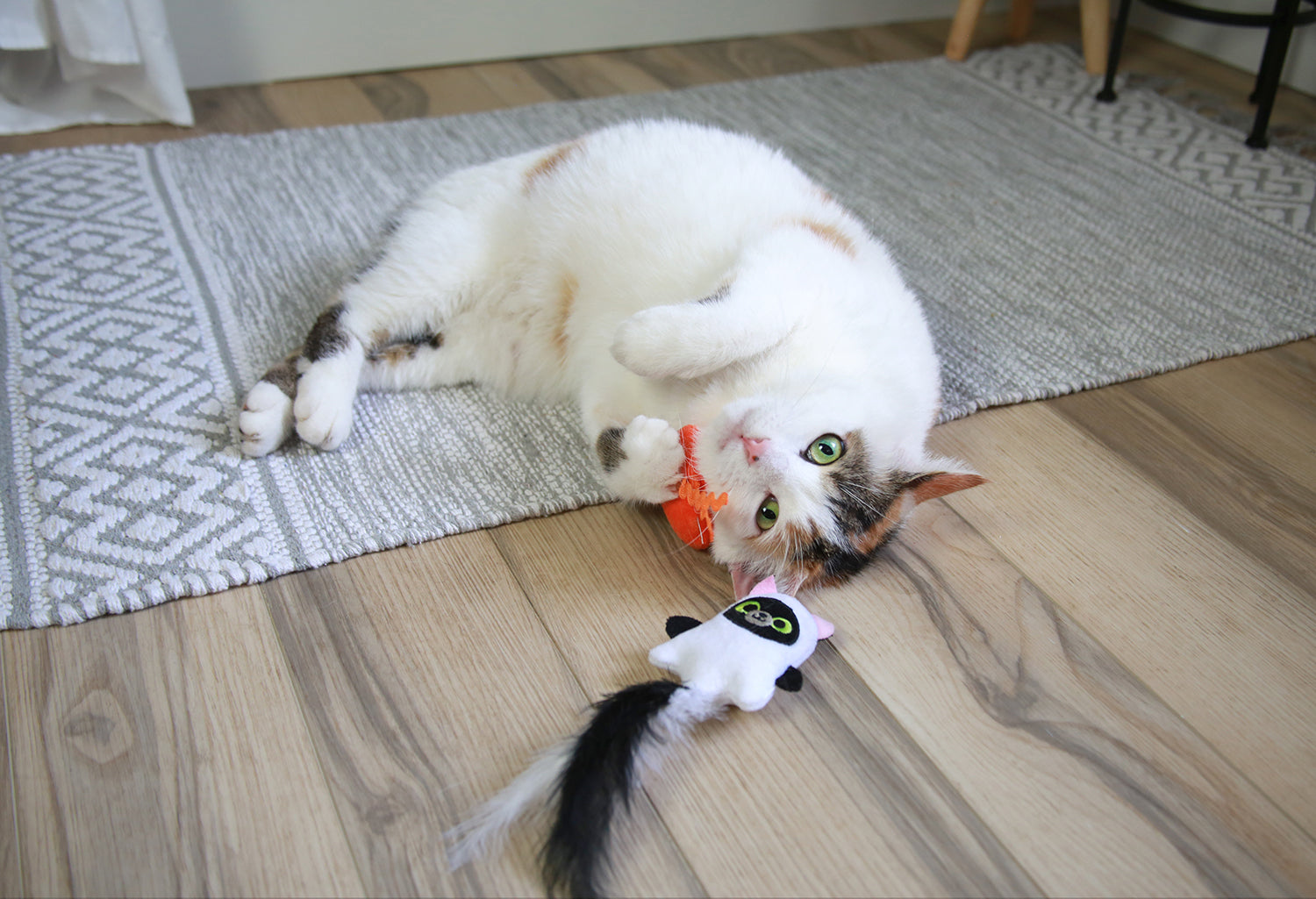 Mad Cat Hiss & Haunt Plush Cat Toy – Petmate