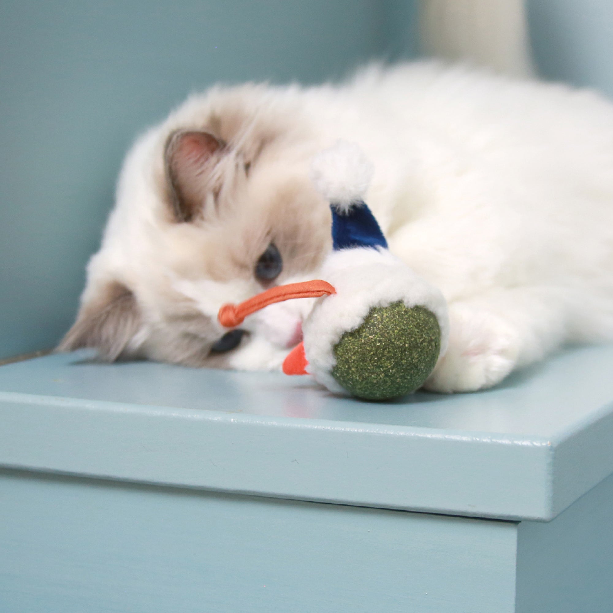 Mad Cat Catnip Bobbler Snowy Day – Petmate