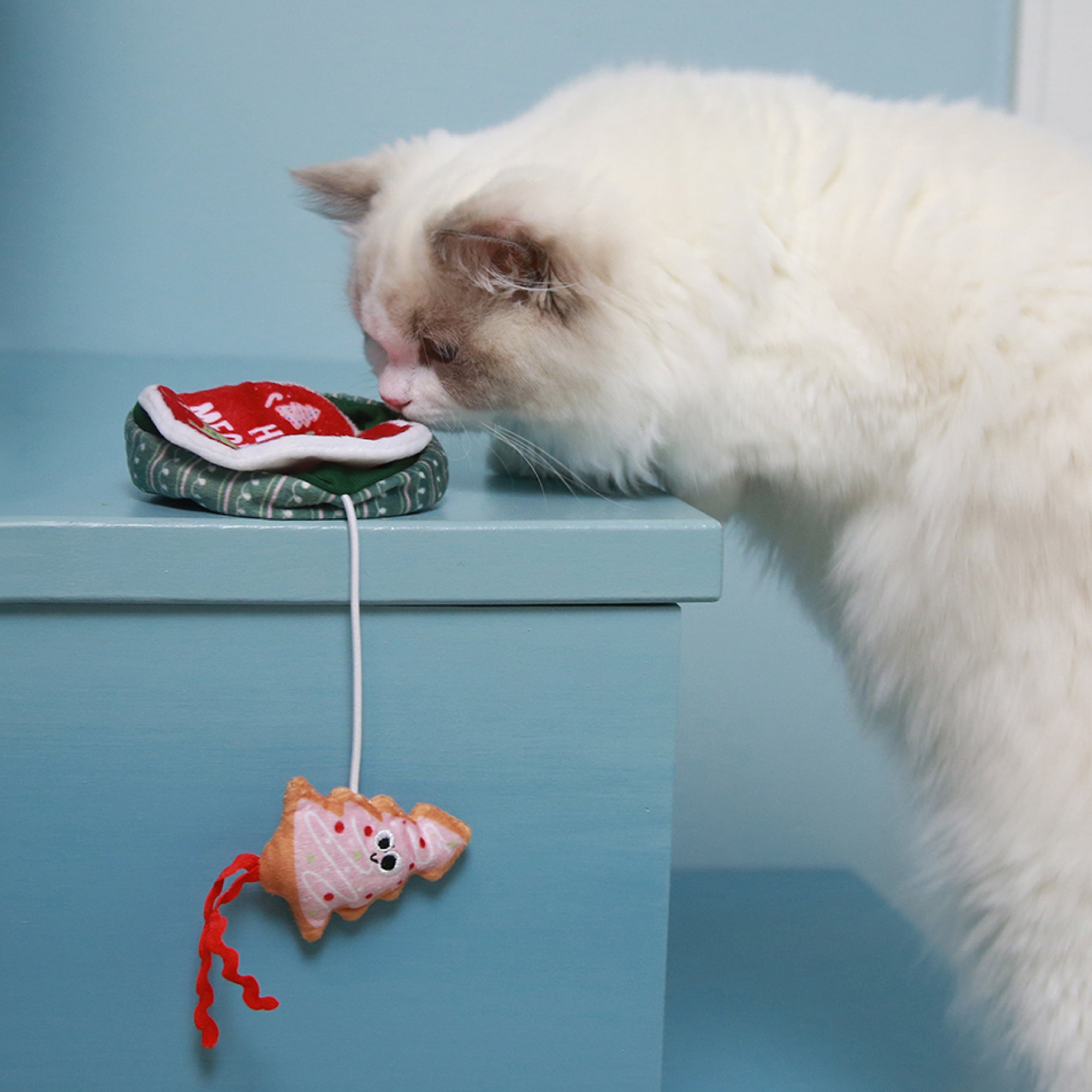 A fluffy white cat, reminiscent of the Mad Cat Holiday Cookie Tin Hide A Toy, curiously sniffs a smiling fish-shaped fabric toy attached by a string to a small red cushion against a light blue background.