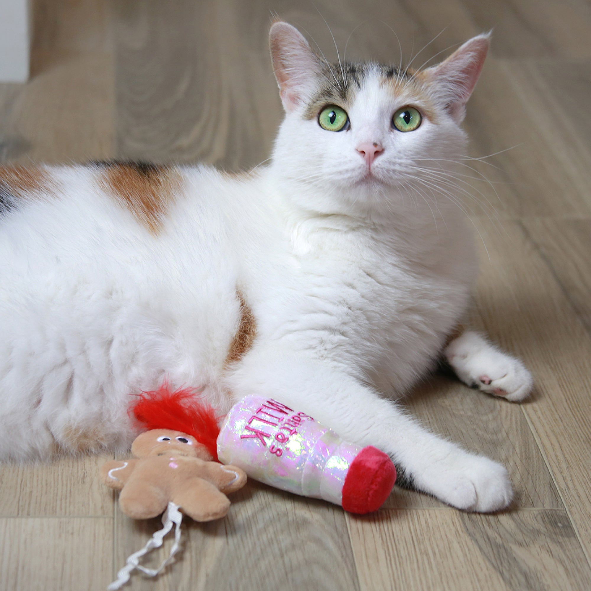 A white and orange calico cat with green eyes lies on a wooden floor, exuding festive charm like Mad Cat Santa Claws Milk. One paw rests on a bottle-shaped toy, while a plush gingerbread man is beside it. The cat gazes up expectantly, as if waiting for milk to magically appear.