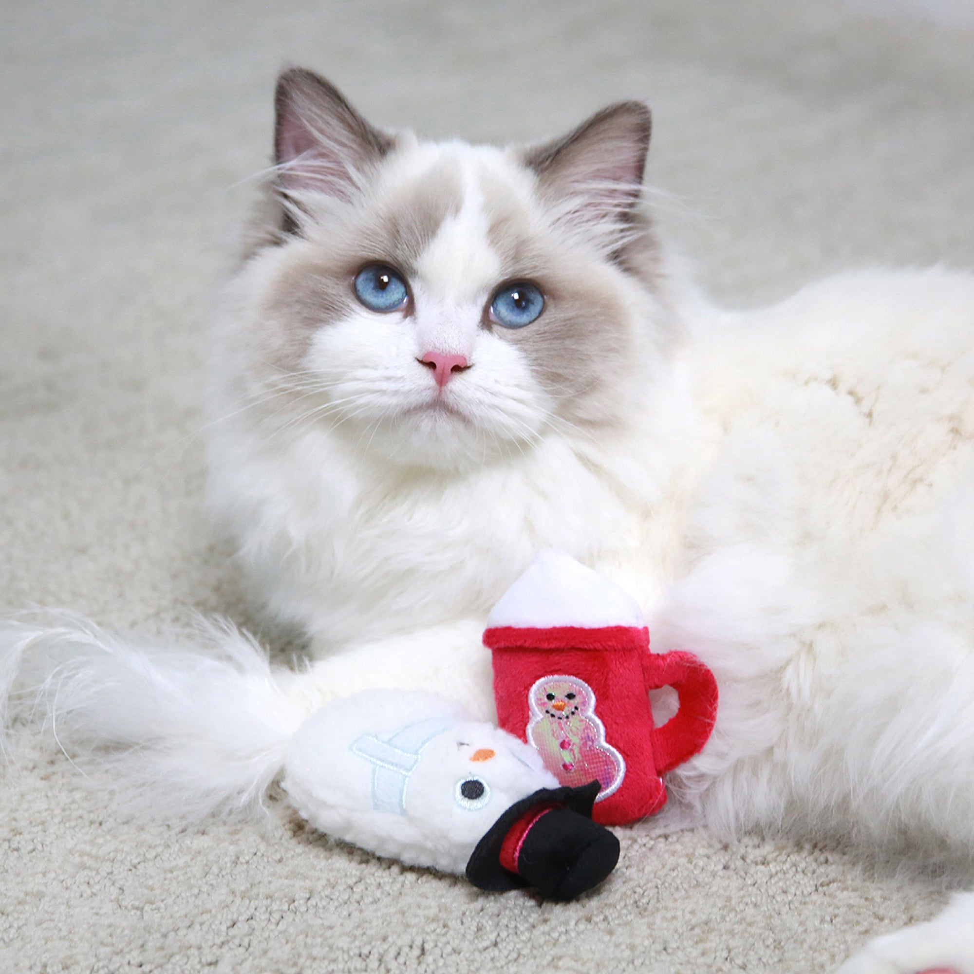 A fluffy white and gray cat with blue eyes relaxes on a light carpet surrounded by plush toys. Among them are Mad Cats Cool Cocoa Cat Toy, featuring a snowman and red mug with gingerbread man designs, perfect for cute mad cat moments.