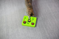 A cat interacts with the Mad Cat Battin At Bugs Bento Box, a green toy on a gray carpet. This puzzle features three slots topped with ladybug-patterned disks. The curious feline reaches out eagerly, captivated by the playful challenge.