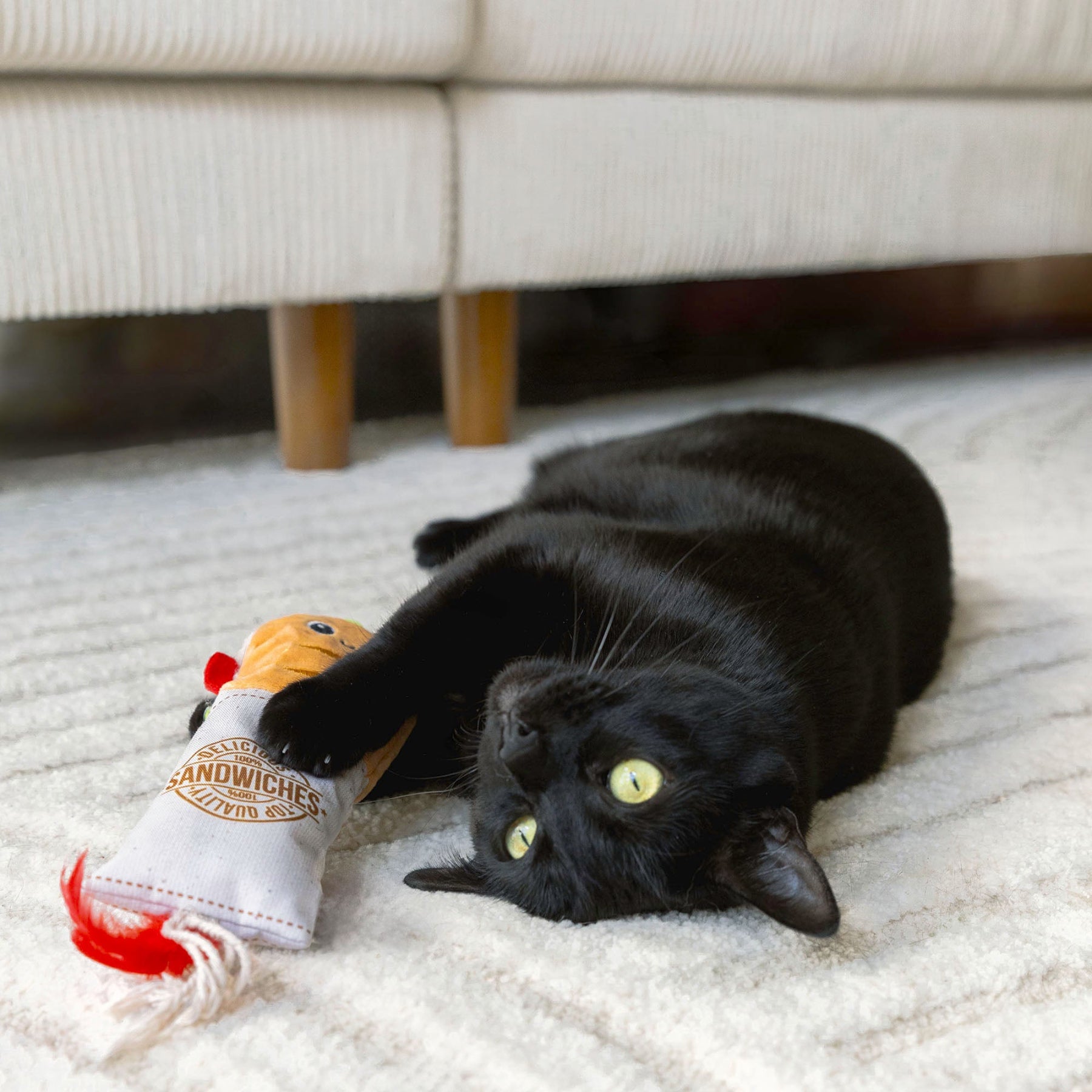 Aug Intraday: eco friendly pet bird toys top rated - Pet Grooming Guide & Healthy Food Recommendations