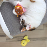 A white and brown cat lounges on a gray chair, playing with a brown plush toy from the Quirky Kitty Pasta Pals 3-Pack Cat Toy Set with Catnip, while the yellow toy from the set lies on the wooden floor below.