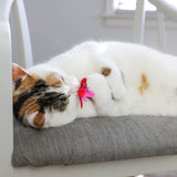 A white and brown cat relaxes on a gray cushioned chair, playfully holding and sniffing a Quirky Kitty Brunch Bunch Cat Toy from the 3-Pack Catnip set by Quirky Kitty.