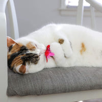 A white and brown cat relaxes on a gray cushioned chair, playfully holding and sniffing a Quirky Kitty Brunch Bunch Cat Toy from the 3-Pack Catnip set by Quirky Kitty.