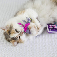A fluffy calico cat plays on a white surface with the Quirky Kitty Fairy Tail Romance 2pk Cat Toy Set with Catnip by Quirky Kitty. A small purple “Cat Crack Catnip” packet sits beside the feathered toys.