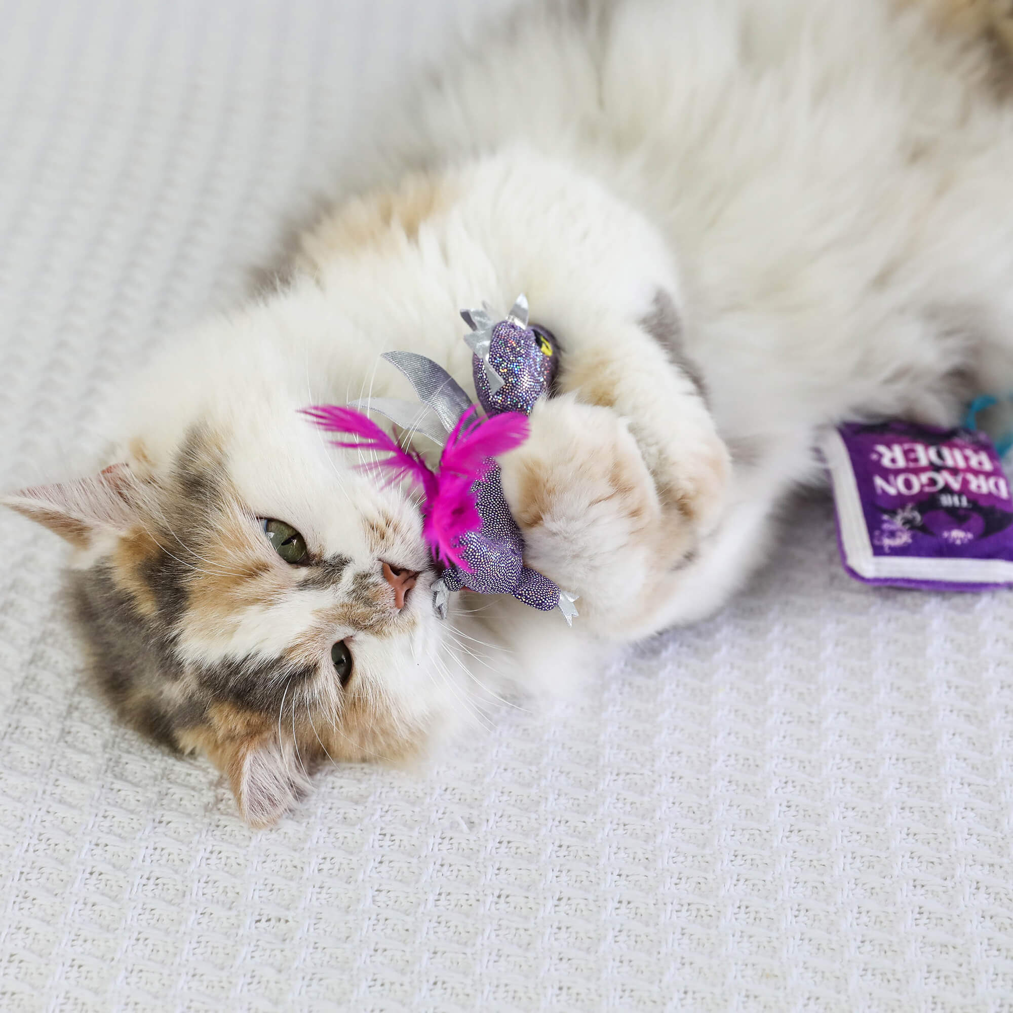A fluffy calico cat plays on a white surface with the Quirky Kitty Fairy Tail Romance 2pk Cat Toy Set with Catnip by Quirky Kitty. A small purple “Cat Crack Catnip” packet sits beside the feathered toys.