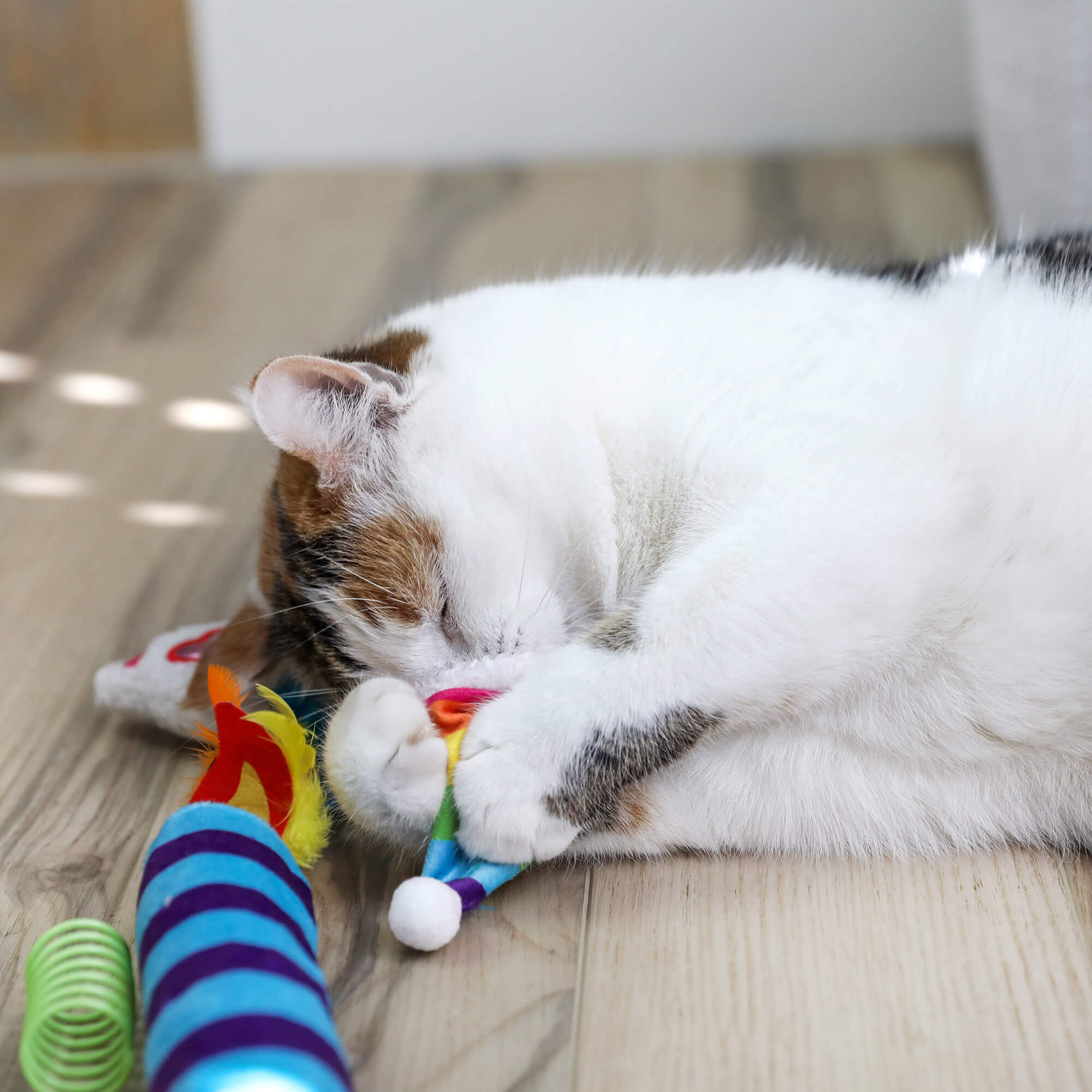 A white and brown cat lies on a wooden floor, playfully hugging a colorful toy from the Quirky Kitty Birthday Box 8pk – Birthday & Gotcha Day Cat Toy Gift Set by Quirky Kitty, with other festive toys from the set scattered nearby.