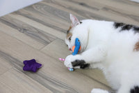 A white and brown cat lies on a wooden floor, playing with Quirky Kitty Fish Bowl 8pk – Ocean-Themed Cooling Cat Toys with Catnip, including a blue fish-shaped toy in its mouth, colorful stick toys, and a purple star-shaped toy nearby.