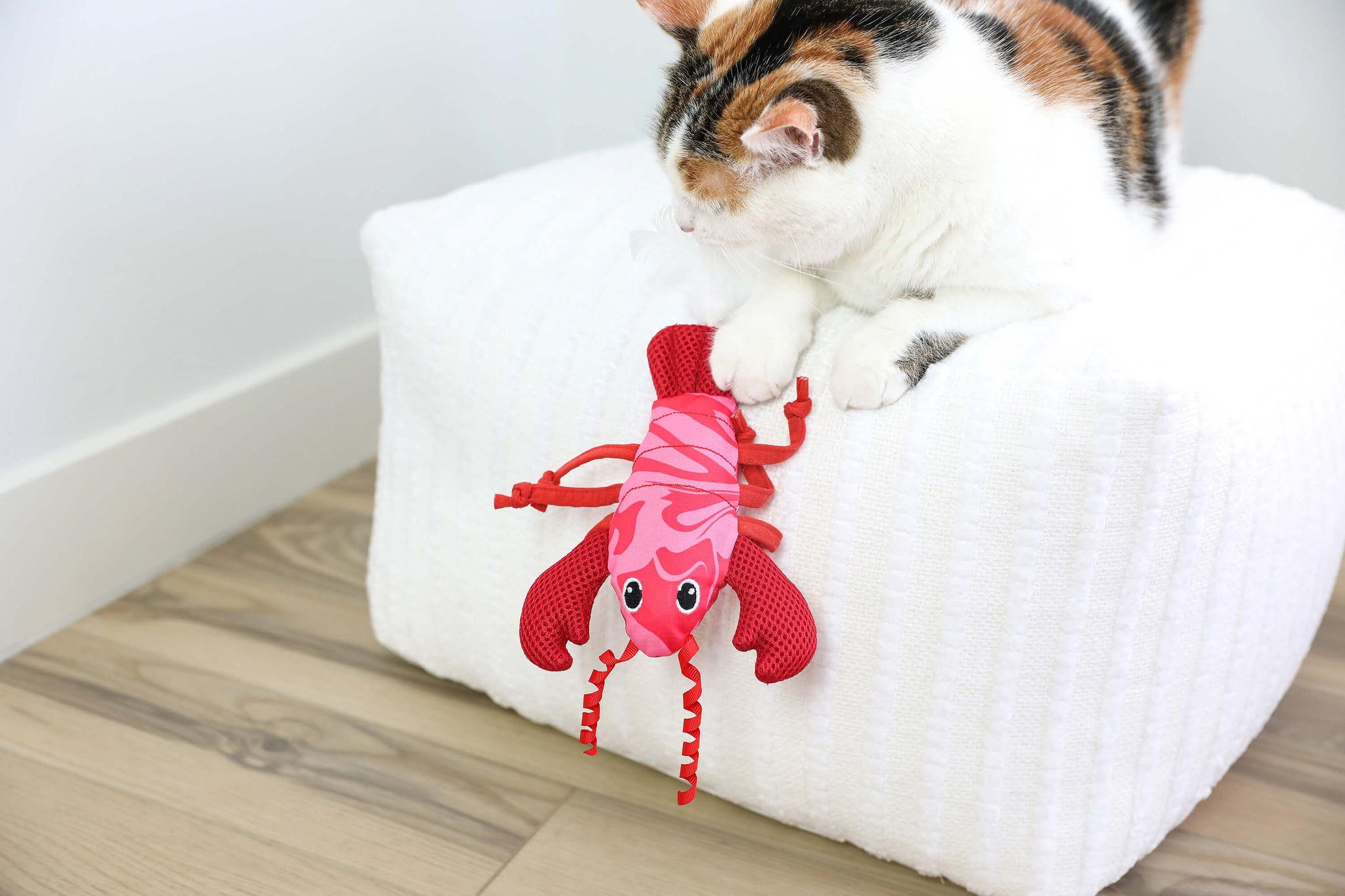 A calico cat sits on a white textured ottoman, playing with the Quirky Kitty Fresh Lobster Kicker—an ocean-themed, catnip-packed cat toy from Quirky Kitty—that dangles over the edge onto a wooden floor.
