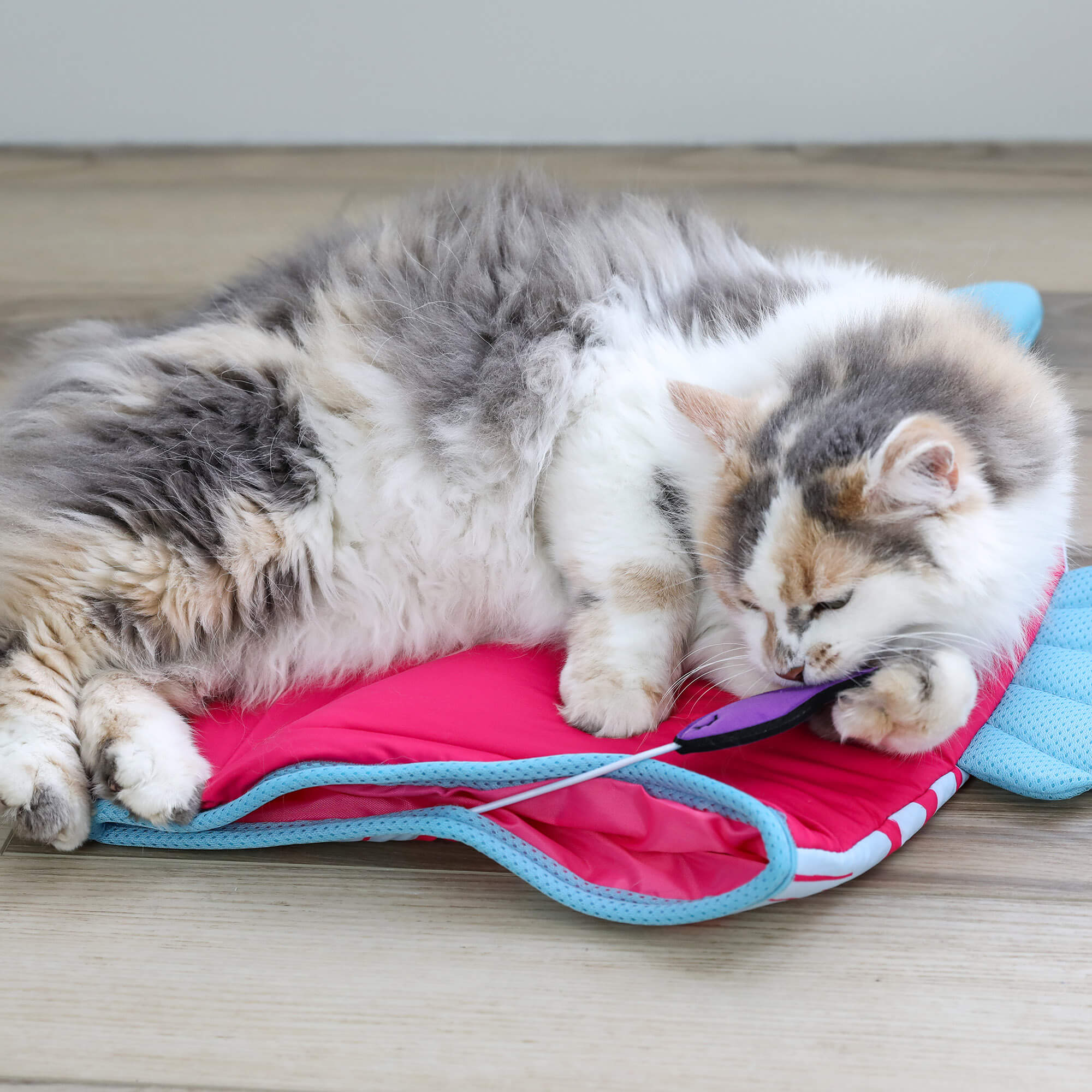 A fluffy gray and white cat relaxes on a wooden floor, lying on its side with its paw and head resting on the Quirky Kitty Fish Cooling Mat – an ocean-themed cat play mat by Quirky Kitty.
