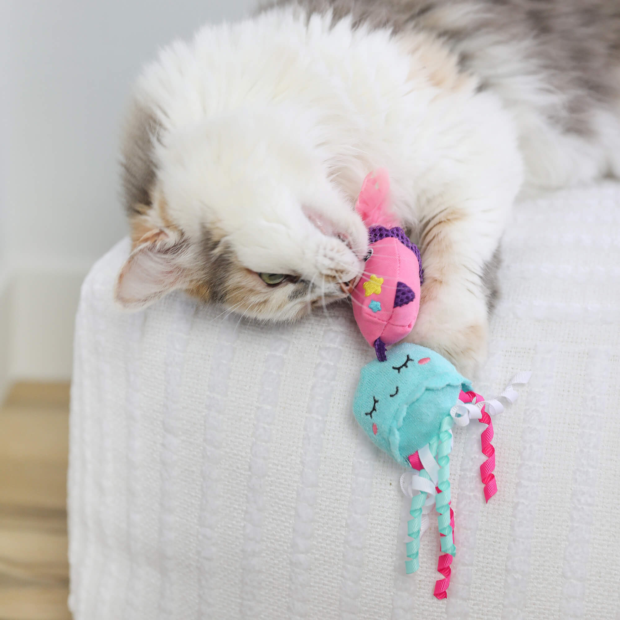 A fluffy white and gray cat plays on a white textured surface, biting a colorful fish toy and the Quirky Kitty Jellyfish cat toy with pink and white ribbon tentacles from the Quirky Kitty Jellyfish & Chill 2-Pack Cat Toys with Catnip.