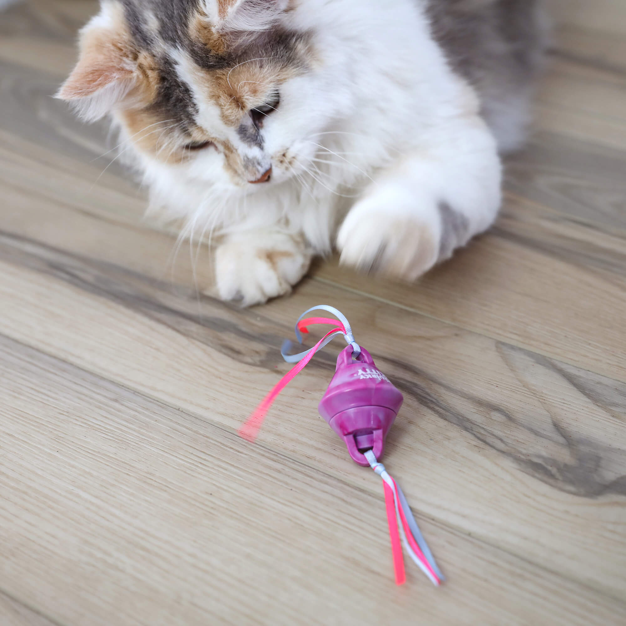 A fluffy white and brown cat paws at a Quirky Kitty Chilly Chasers 2pk – Freeze & Play Cat Toy Set by Quirky Kitty, with colorful ribbons, on a wooden floor.