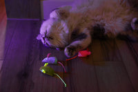 A fluffy cat lies on its back on a wooden floor, next to three Quirky Kitty Glow Mice—catnip & silvervine-filled glowing toys for nighttime play. Soft purple light illuminates the scene.