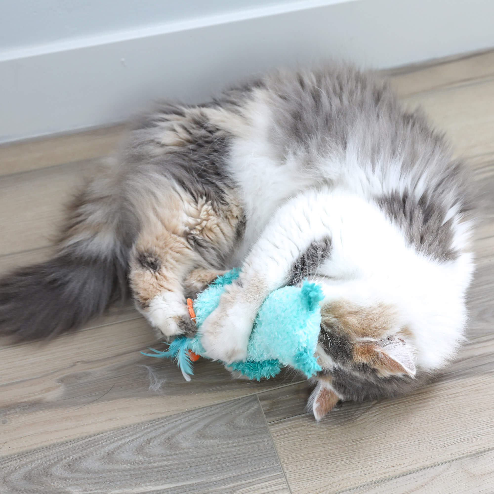アクアマリンの猫かぶりおばけちゃん形オルゴナイト☆ Quirky Kitty Night Owl Kicker – Glow Catnip Cat Toy – Petmate