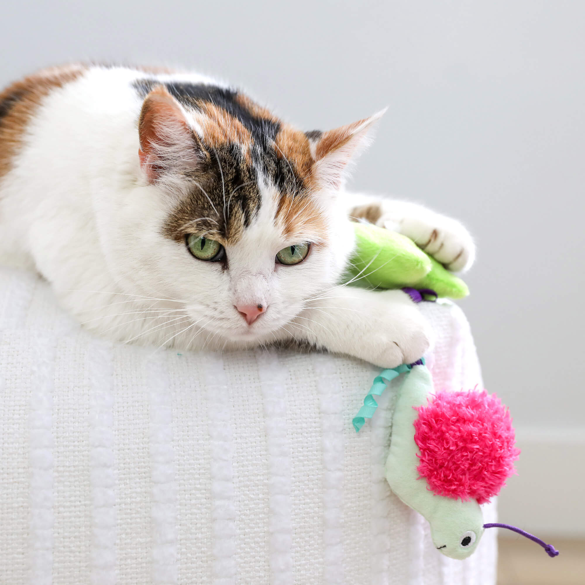 A white and brown cat with green eyes lounges on a white textured surface, resting its paw on a Quirky Kitty Glow Critters glow-in-the-dark catnip toy from the 2-pack by Quirky Kitty.