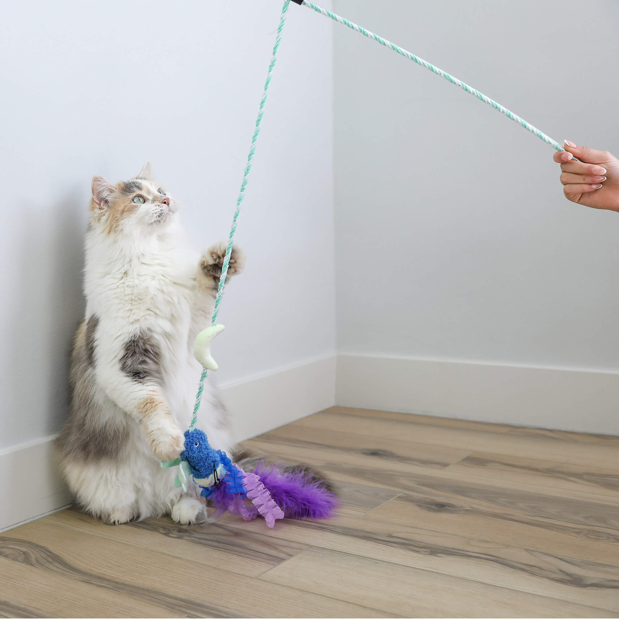 A fluffy white and gray cat sits on a wooden floor, reaching up to play with the Quirky Kitty Firefly Wand—a glowing cat wand toy with catnip and silvervine by Quirky Kitty, designed to keep playful kitties entertained.