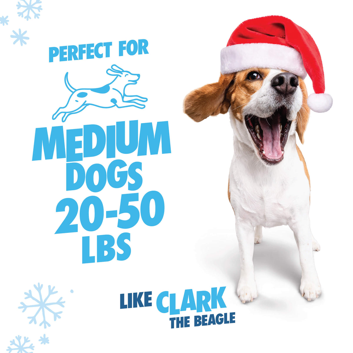 A beagle wearing a Santa hat with a Chuckit!® Holiday Ultra Ball; text reads: Perfect for medium dogs 20-50 lbs like Clark the beagle.