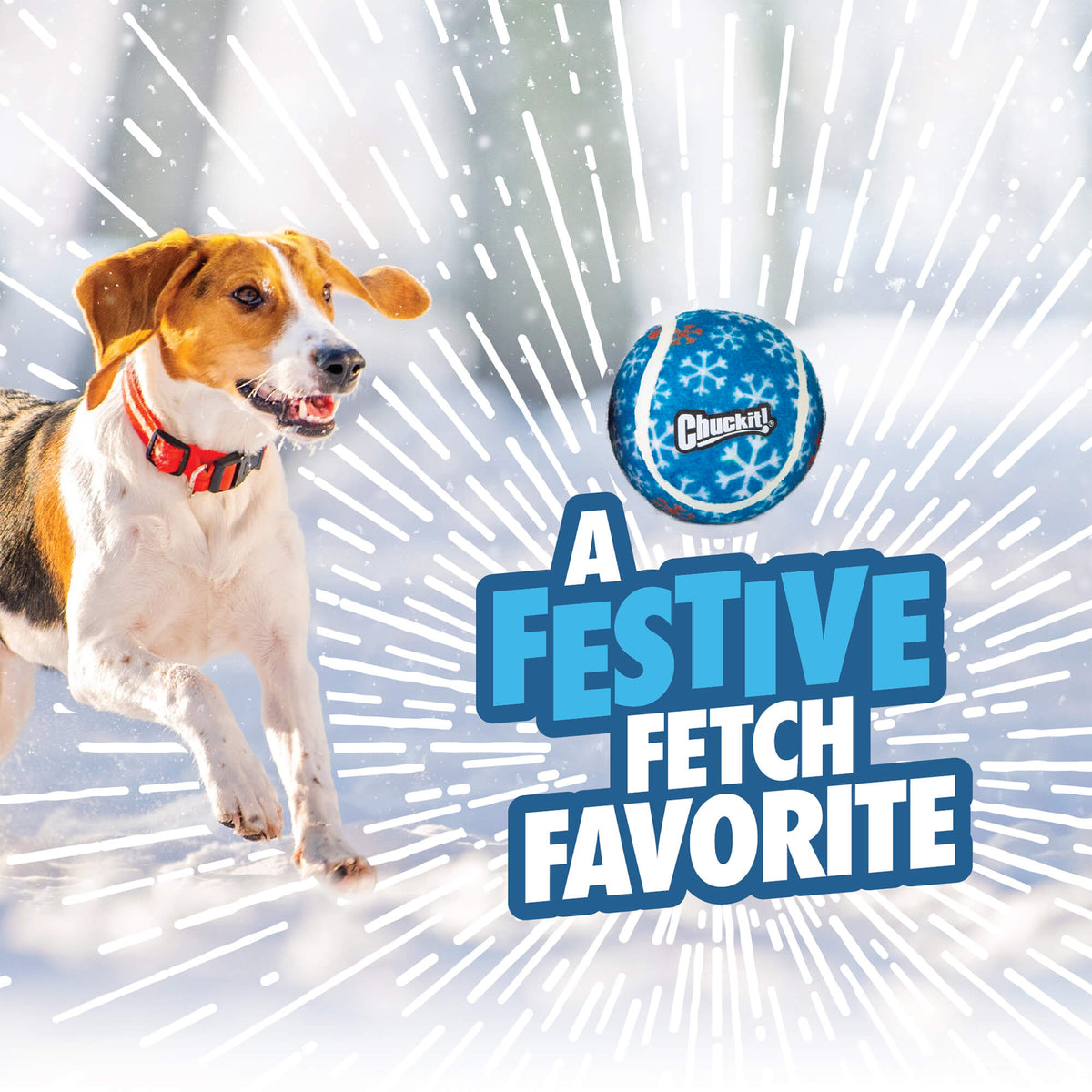 A dog runs toward a blue Chuckit!® Holiday Tennis Ball decorated with white snowflakes, with text that reads A Festive Fetch Favorite.