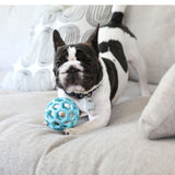 A black and white French Bulldog crouches playfully on a beige couch with a blue JW Hol-EE Roller Trend-EE made of natural rubber in front, looking alert for mental stimulation amidst the decorative pillows.