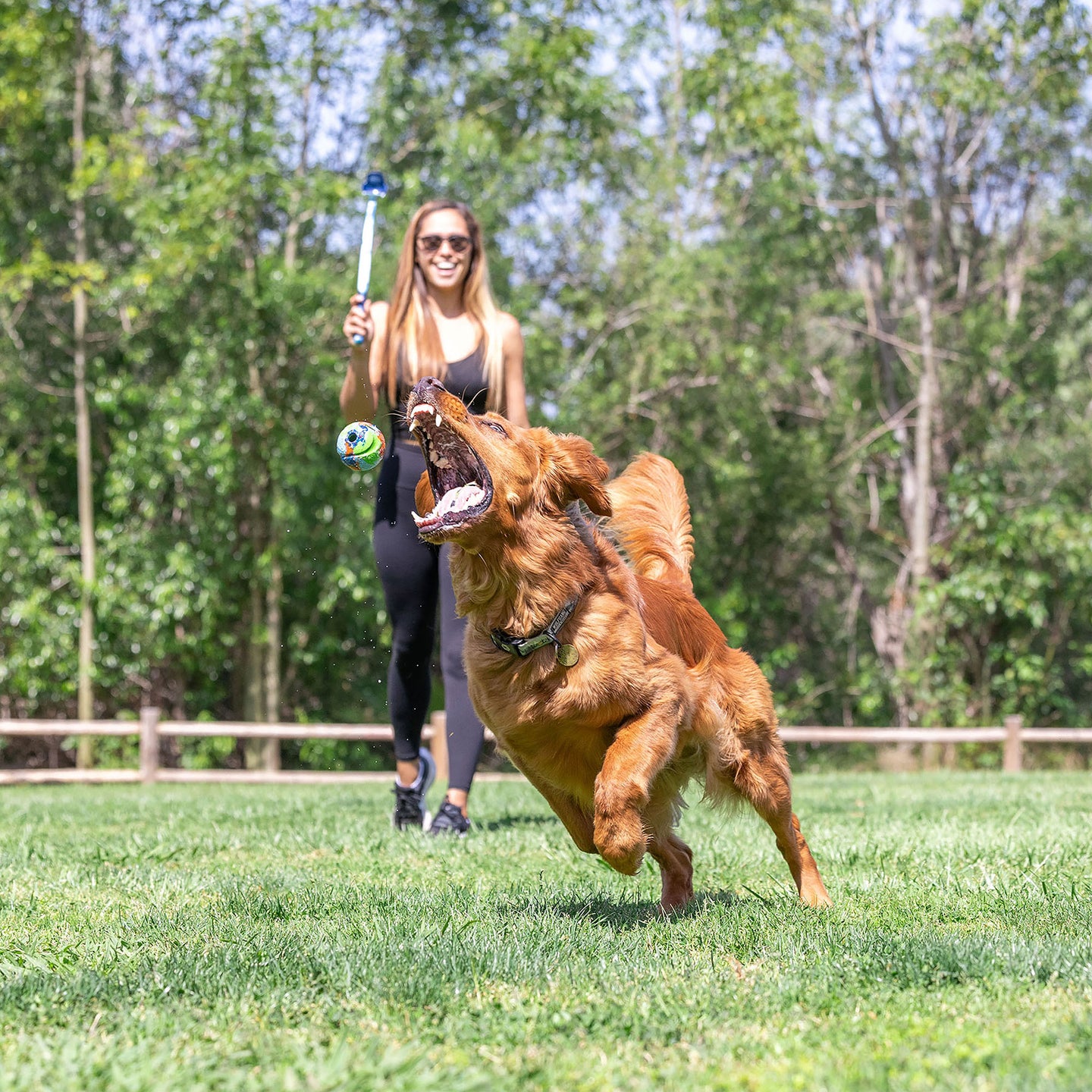In a lush green park, a golden retriever eagerly chases an eco-friendly toy as a woman in sunglasses and black athletic wear smiles, holding the Chuckit! EcoFetch Sport 18M Launcher made from recycled materials.