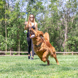 In a lush green park, a golden retriever eagerly chases an eco-friendly toy as a woman in sunglasses and black athletic wear smiles, holding the Chuckit! EcoFetch Sport 18M Launcher made from recycled materials.