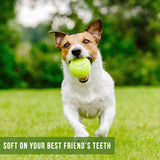 A small dog joyfully races across a grassy field with a Hyperpet Tennis Ball from the 4-Pack in its mouth, against a blurred green foliage background. Caption: Soft on your best friends teeth—perfect for fetch training and dog safety.