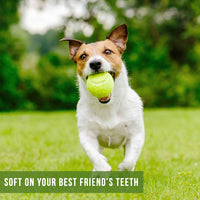 A small dog joyfully races across a grassy field with a Hyperpet Tennis Ball from the 4-Pack in its mouth, against a blurred green foliage background. Caption: Soft on your best friends teeth—perfect for fetch training and dog safety.