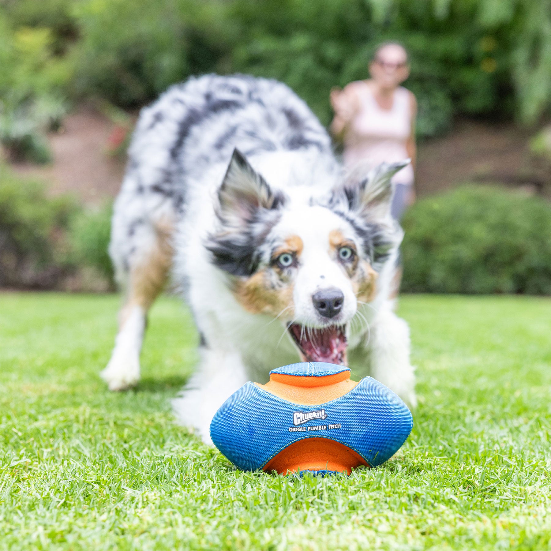 Chuckit! Fumble Fetch Dog Football Interactive Dog Toy | Petmate