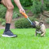 In a grassy outdoor setting, someone plays tug-of-war with a small dog using the durable Chuckit Ultra Bumper Tug Dog Toy. The dog tugs enthusiastically while the person wears black socks and sneakers.