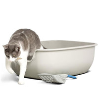 A cat emerges from the spacious, open design of the PetFusion Better Box Cat Litter Box (2-Pack), while a scooper with a blue handle, made from durable ABS plastic, lies in front on a pristine white background.