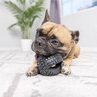 A French Bulldog lies on a light carpet, playfully biting a Petqwerks Jingle X-Tire Ball. A potted plant and a window are visible in the background.