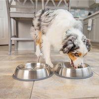 PetFusion Premium Brushed Anti-Tip Dog & Cat Bowls Set