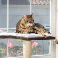 A tabby cat with green eyes relaxes on a PetFusion Ultimate Cat Window Climbing Perch, made of wood and rope, soaking in sunlight as vibrant flowers bloom outside the window. The cat gazes off to the side, enjoying enrichment from its perch.