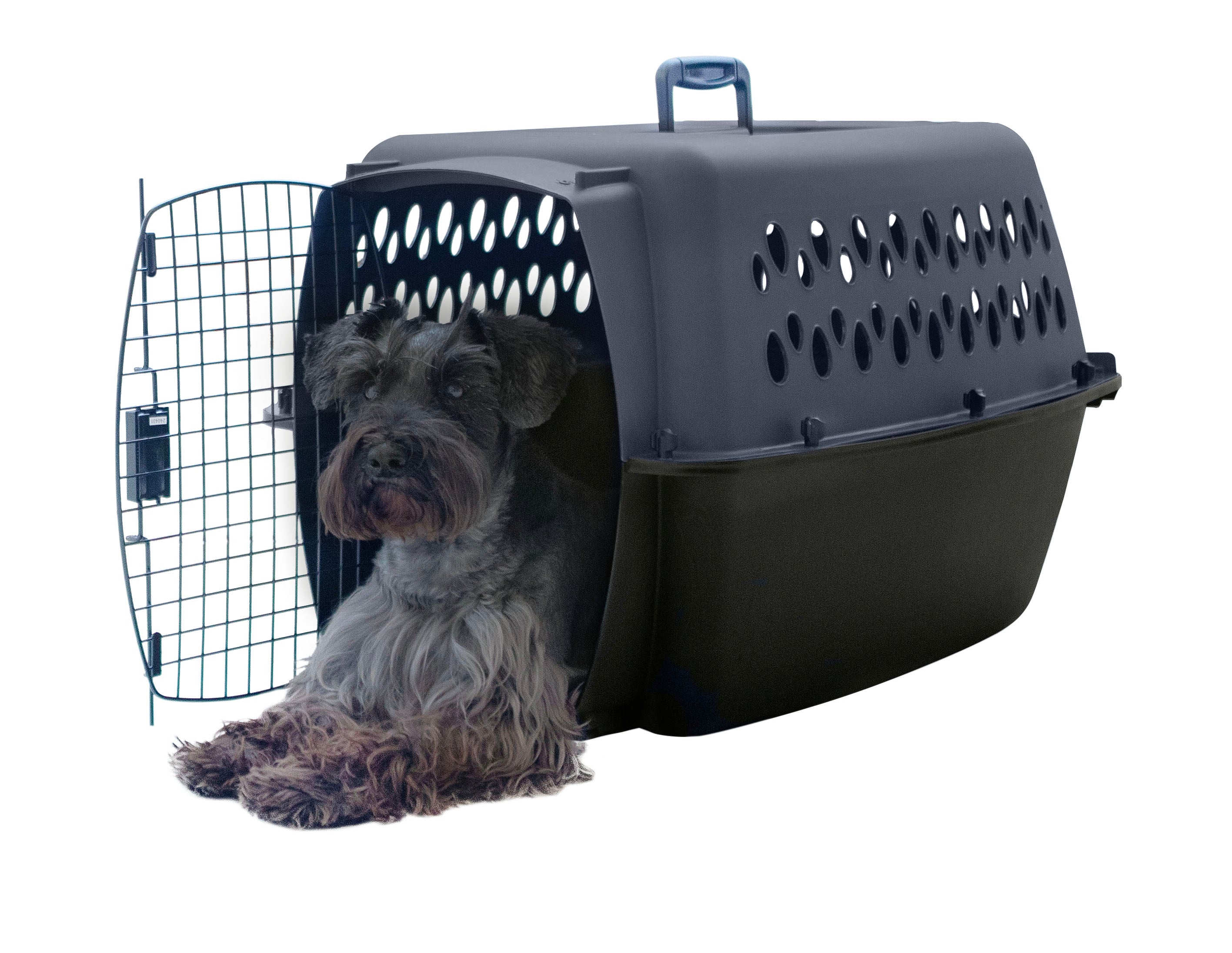 Petmate All Purpose Kennels- Pet Porter