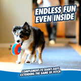 Chuckit! Indoor Roller Dog Toy