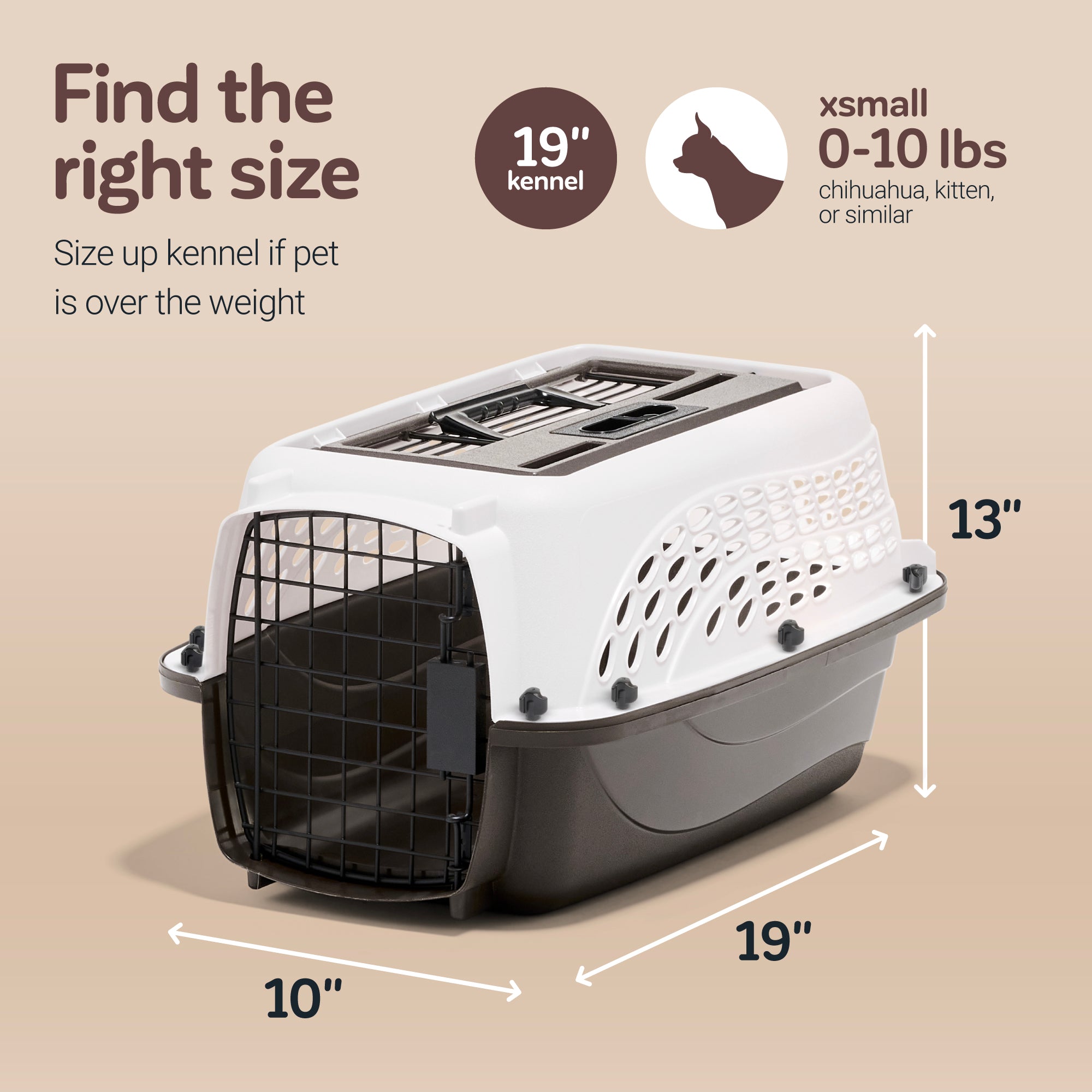 Amazon.com : Petmate Compass Fashion Kennel Cat and Dog