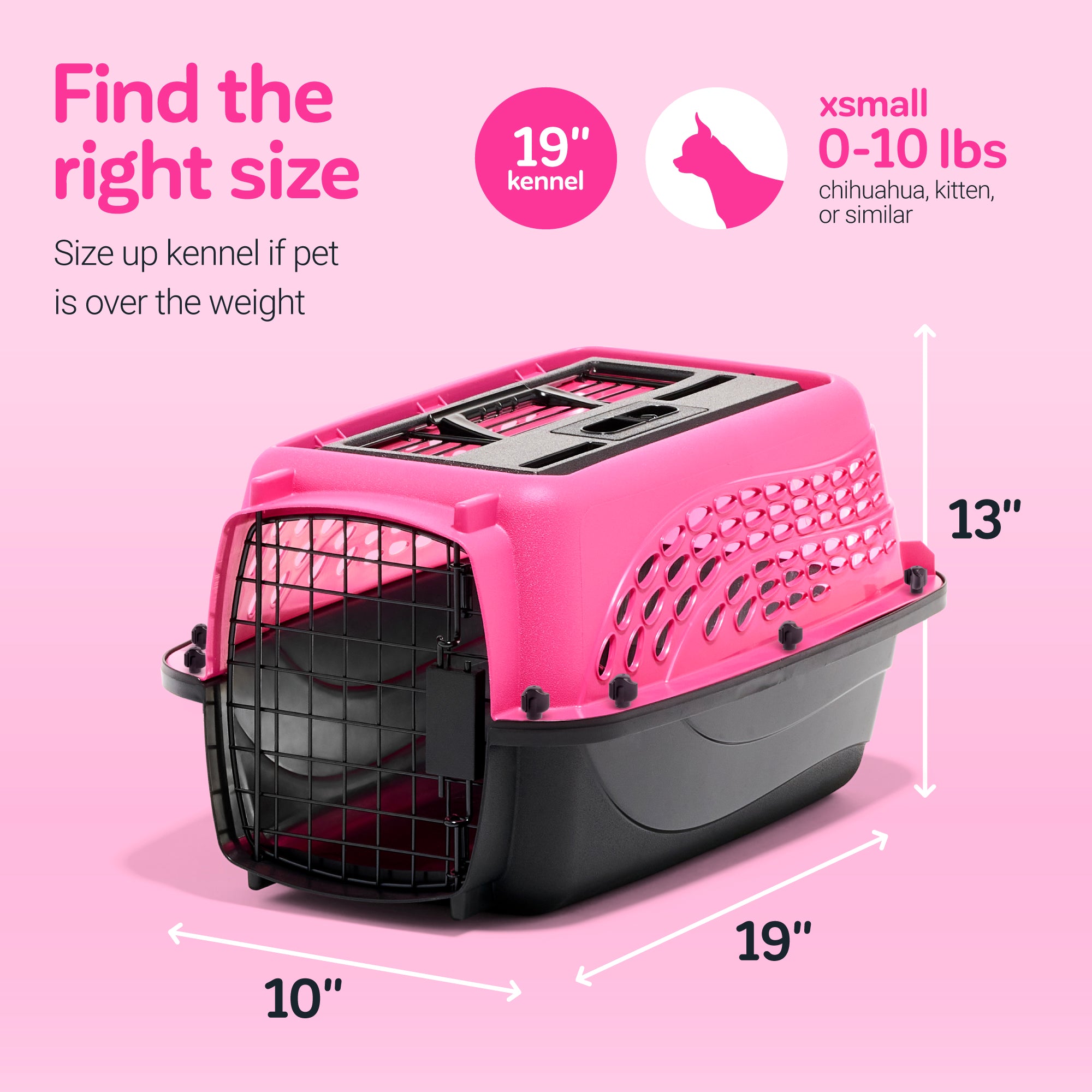 Amazon.com : Petmate Compass Fashion Kennel Cat and Dog